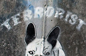 Dog Terrorist