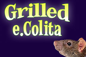 Grilled eColita