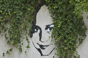 Ivy